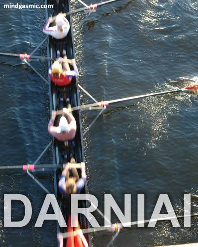Darniai NLP