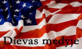 Dievas medyje NLP Esė 61