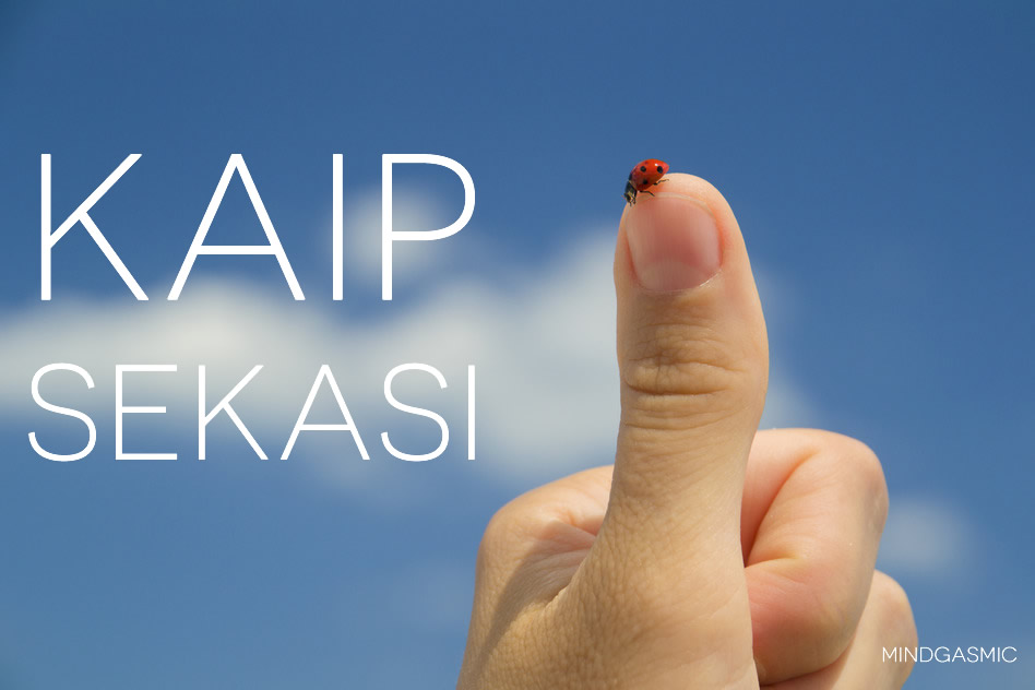 kaip skeasi vidas jankauskas nlp mindgasmic.com