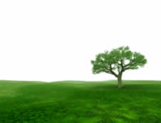 NLP freedom