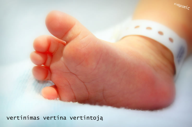 NLP vertinimas vertina vertintoją ese 100